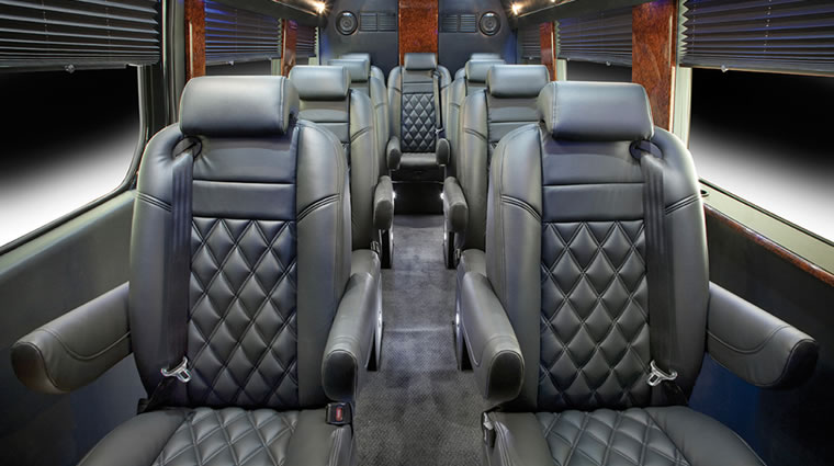 luxury 10 seater vans